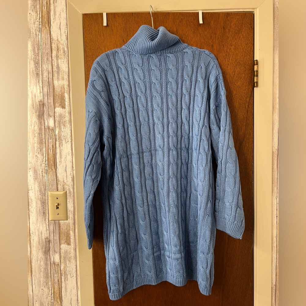 Turtle neck sweater dress